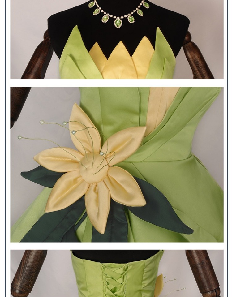 Princess Tiana Dress Cosplay C - Men Accessories Kit review and price