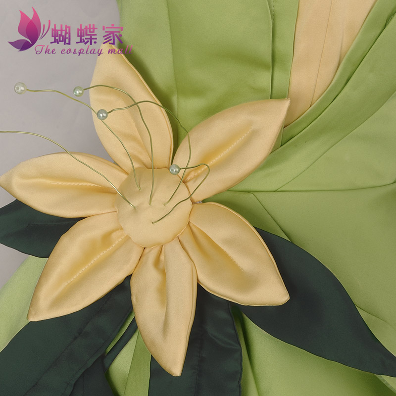 Princess Tiana Dress Cosplay C - Men Accessories Kit review and price
