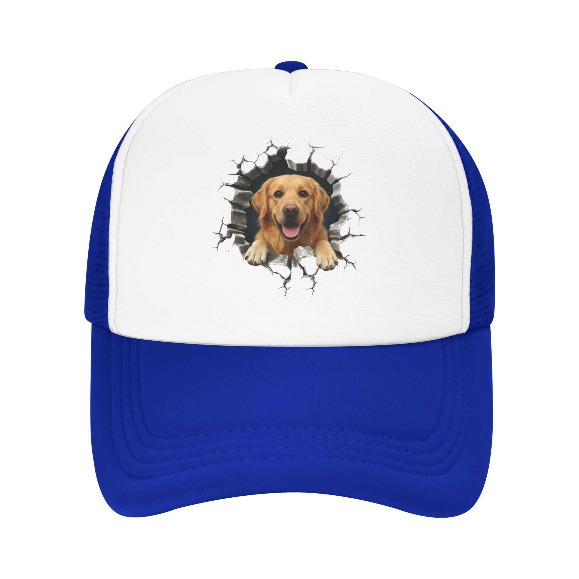Breaking Through Golden Retrie - Hat Snapback Cap review and price