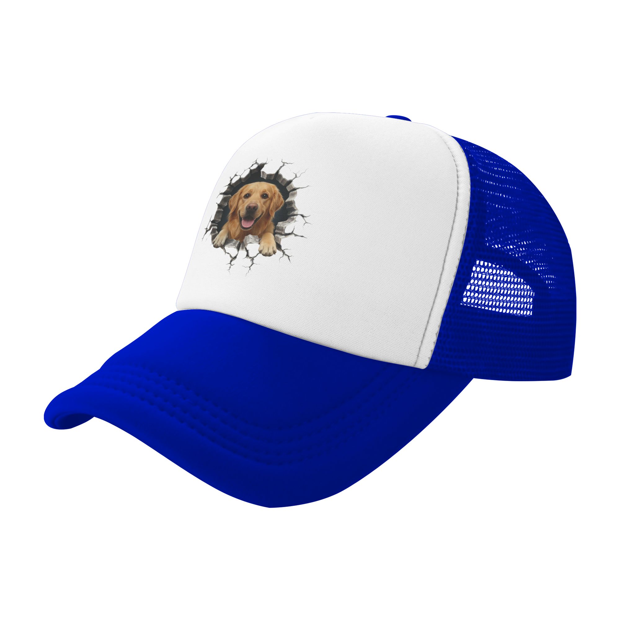 Breaking Through Golden Retrie - Hat Snapback Cap review and price